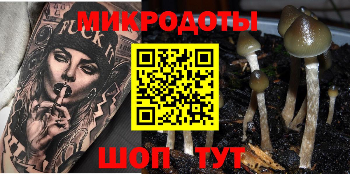 Галлюциногенные грибы Magic Shrooms Заводоуковск