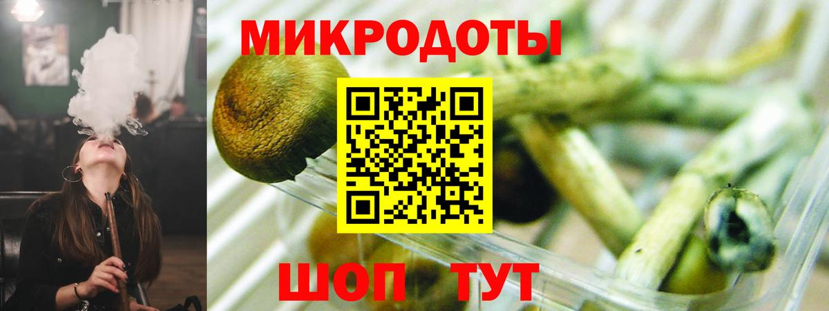 Псилоцибиновые грибы Magic Shrooms  Вход с VPN  Заводоуковск  Галлюциногенные грибы ЛСД 